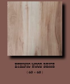 carreaux indien (60x60)