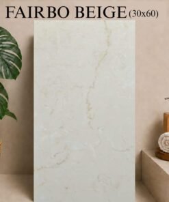 Carreaux indien (30x60)