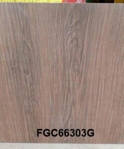 carreaux ordinaires (60x60)